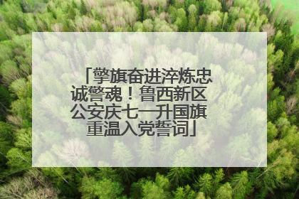 擎旗奋进淬炼忠诚警魂！鲁西新区公安庆七一升国旗 重温入党誓词